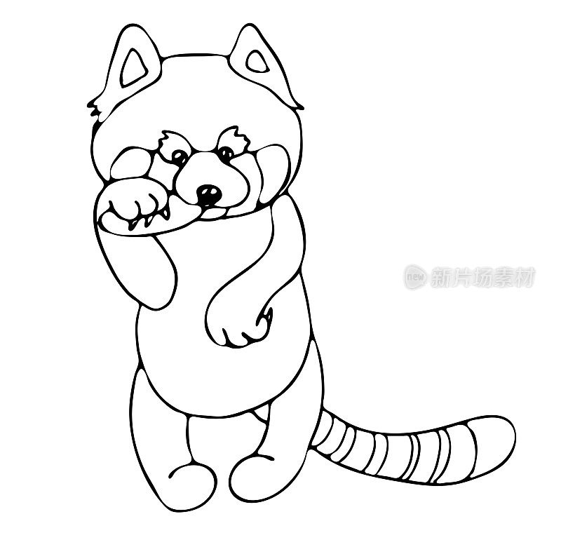 A cute confused red Panda